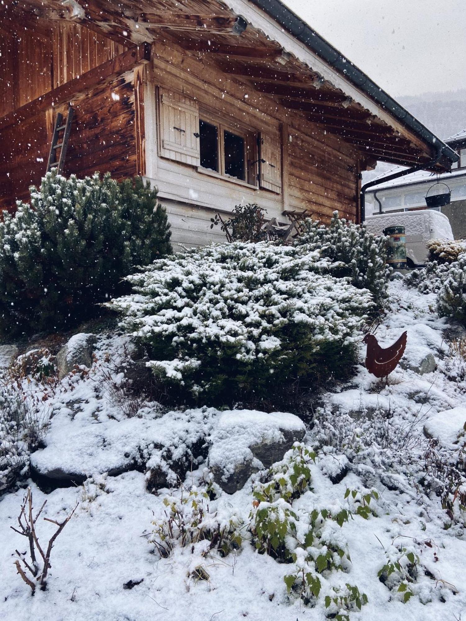 בור סן מוריס Grand Chalet A La Montagne מראה חיצוני תמונה